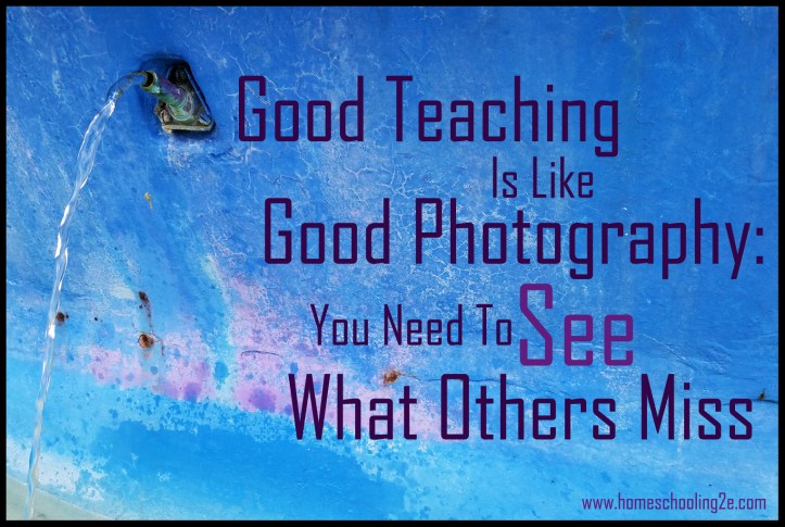 see-what-others-miss-blurb